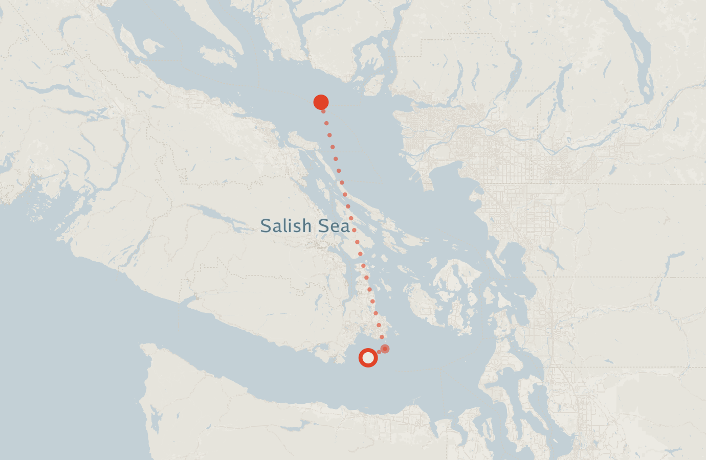 Activity map — real sighting points on an OpenStreetMap basemap