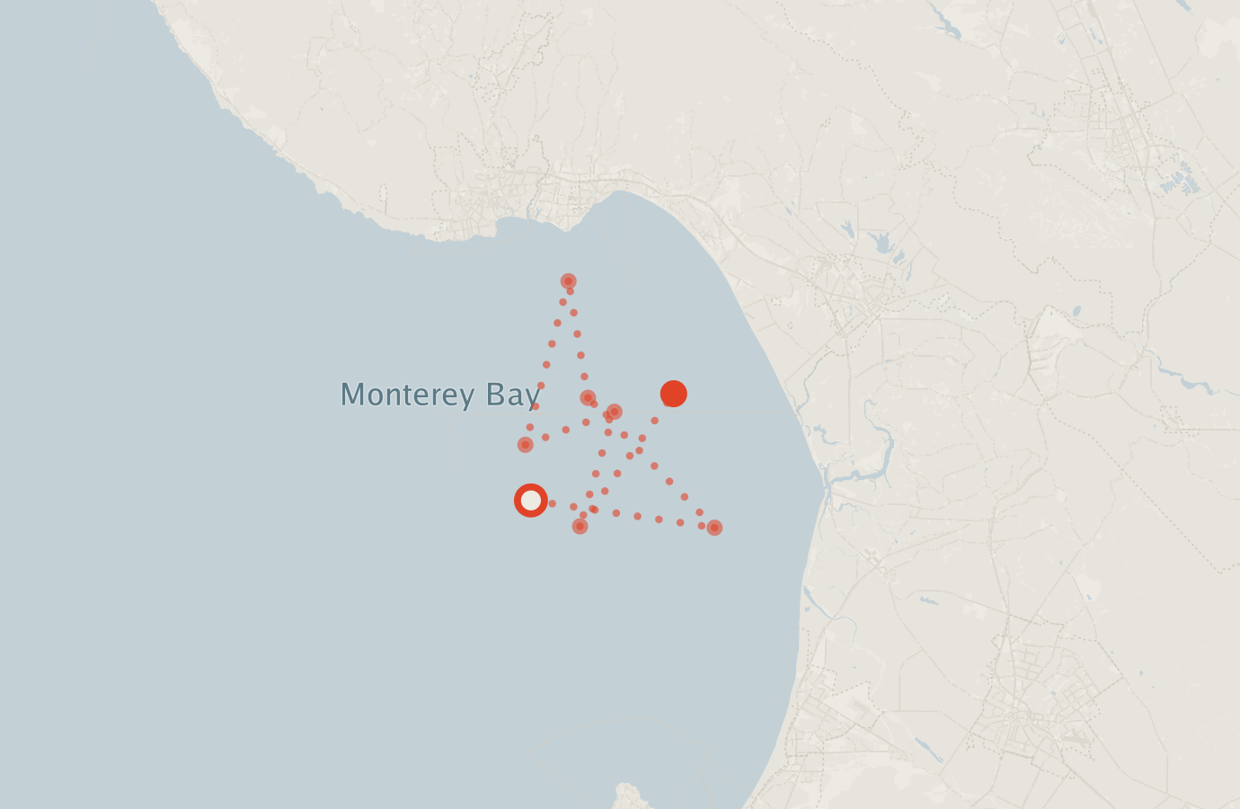 Activity map — real sighting points on an OpenStreetMap basemap