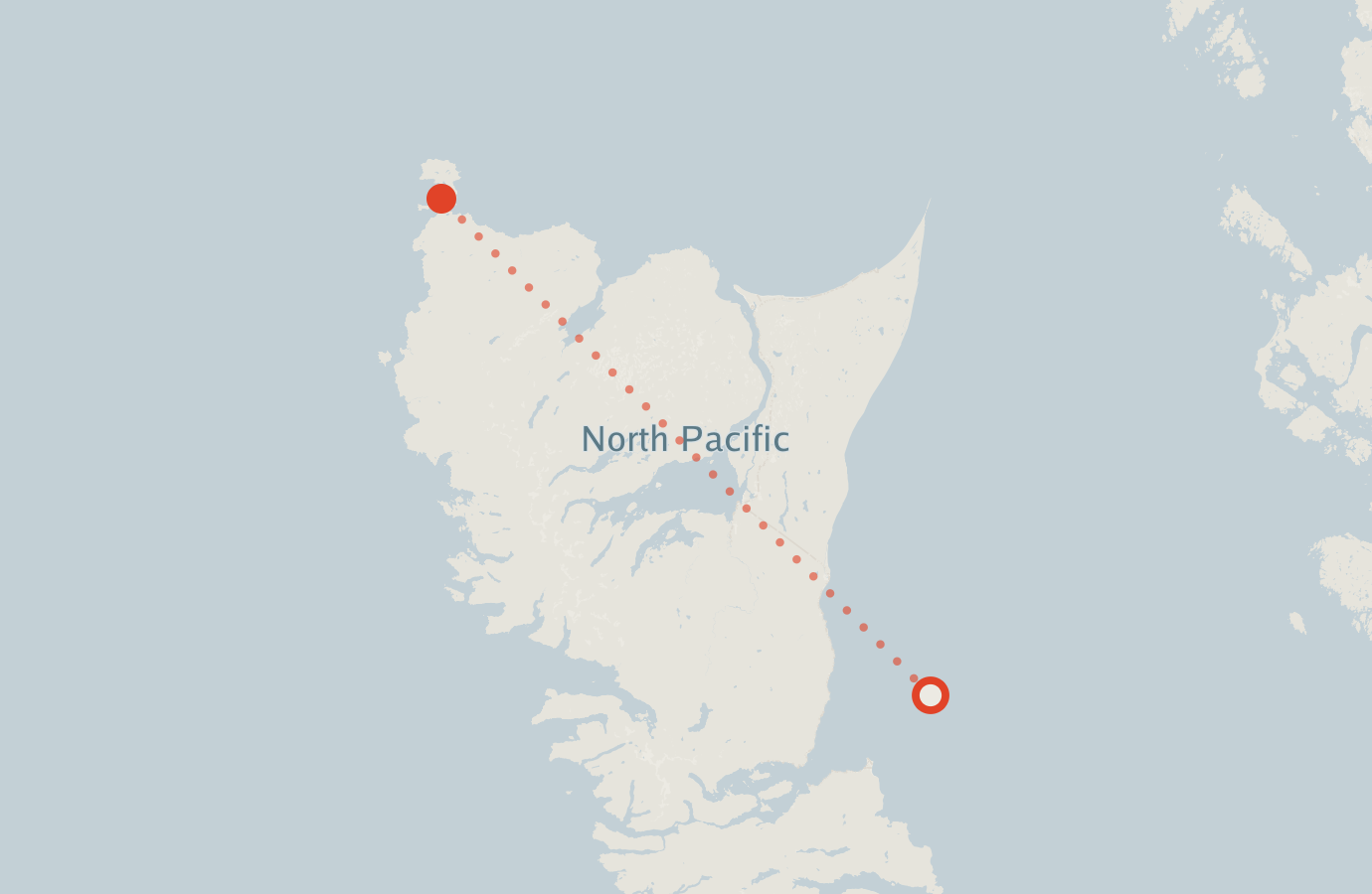 Activity map — real sighting points on an OpenStreetMap basemap