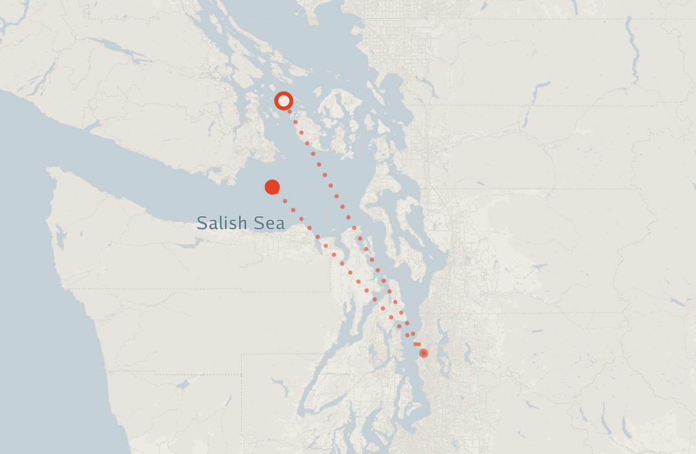 Activity map — real sighting points on an OpenStreetMap basemap