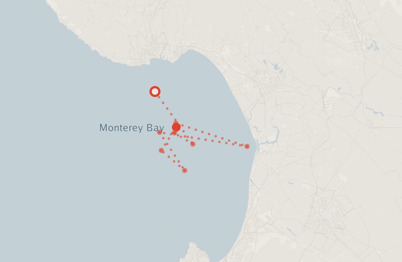 Activity map — real sighting points on an OpenStreetMap basemap