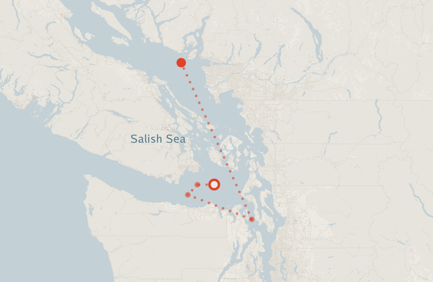 Activity map — real sighting points on an OpenStreetMap basemap