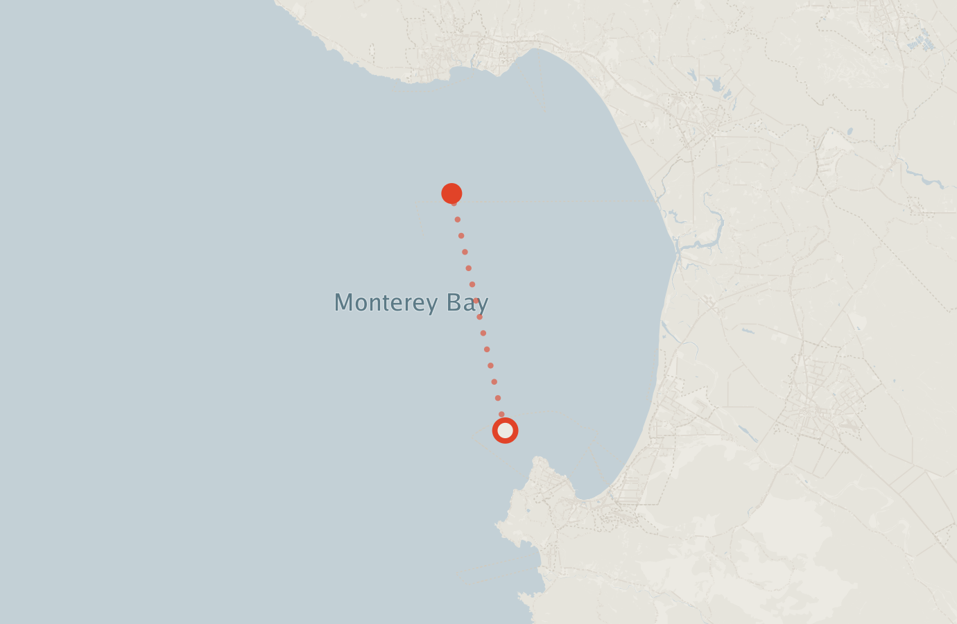 Activity map — real sighting points on an OpenStreetMap basemap