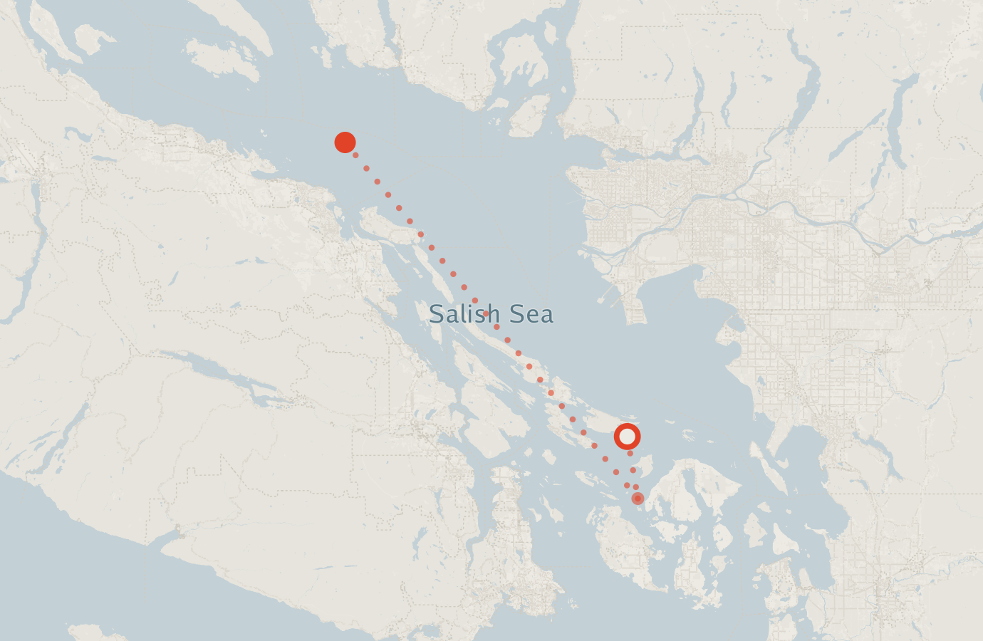 Activity map — real sighting points on an OpenStreetMap basemap