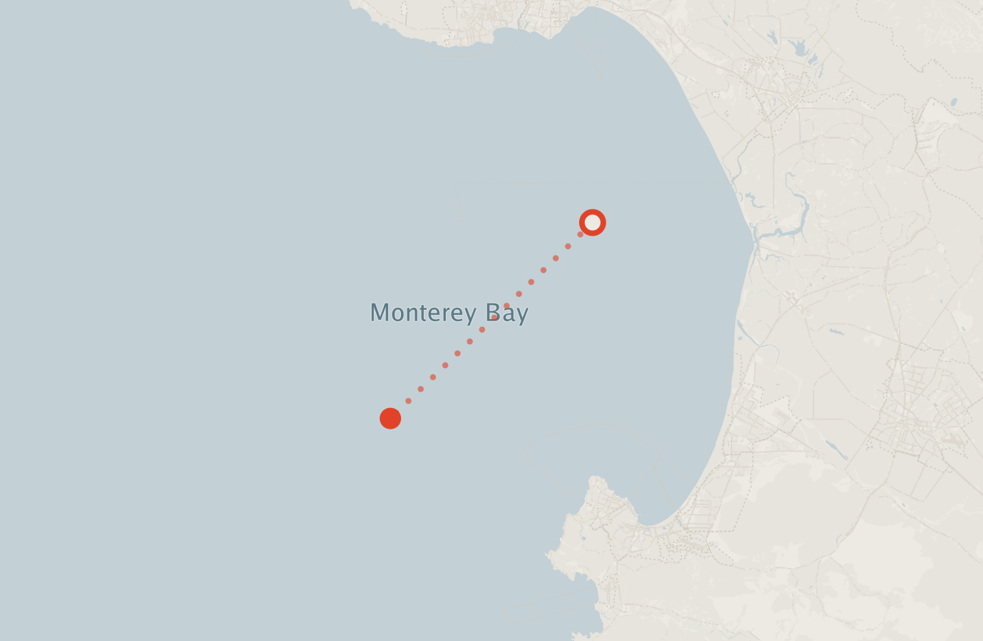 Activity map — real sighting points on an OpenStreetMap basemap