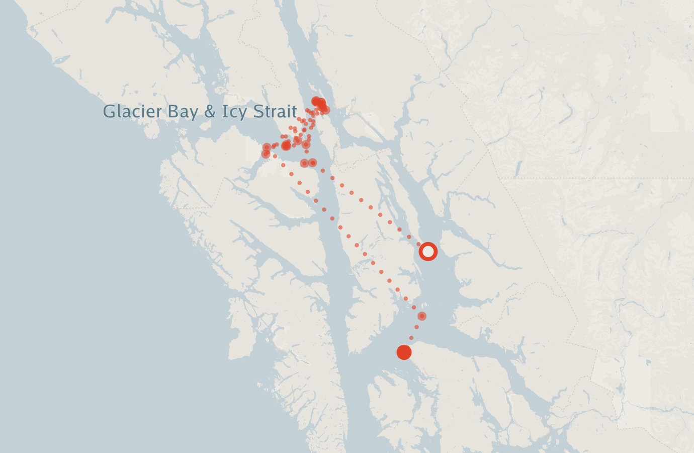Activity map — real sighting points on an OpenStreetMap basemap