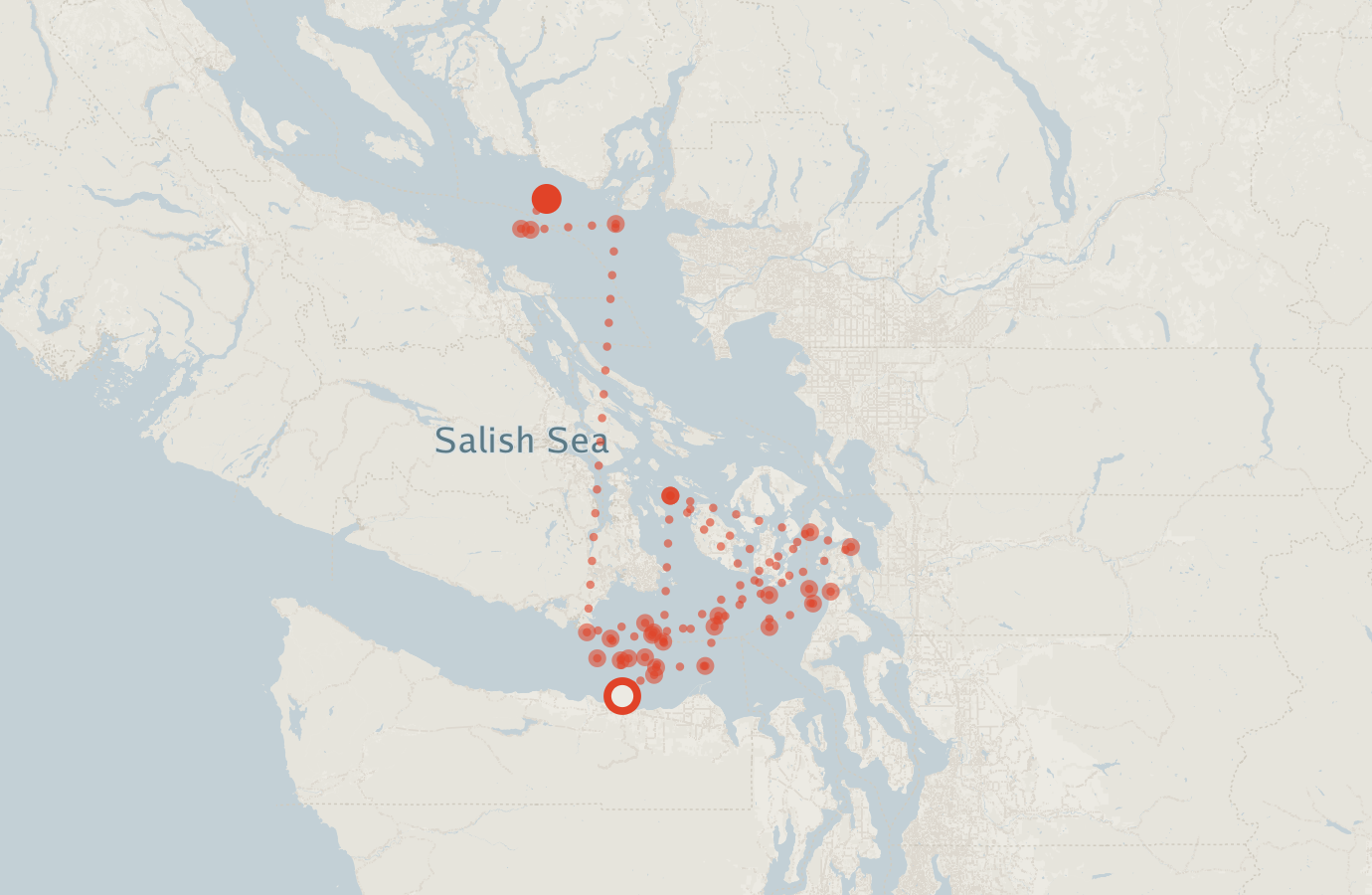 Activity map — real sighting points on an OpenStreetMap basemap
