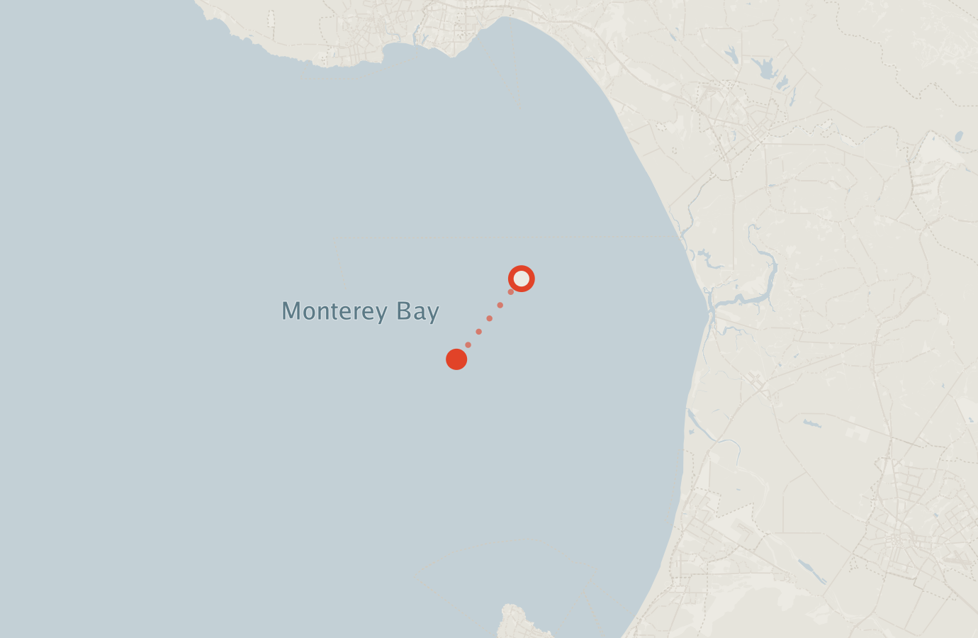 Activity map — real sighting points on an OpenStreetMap basemap