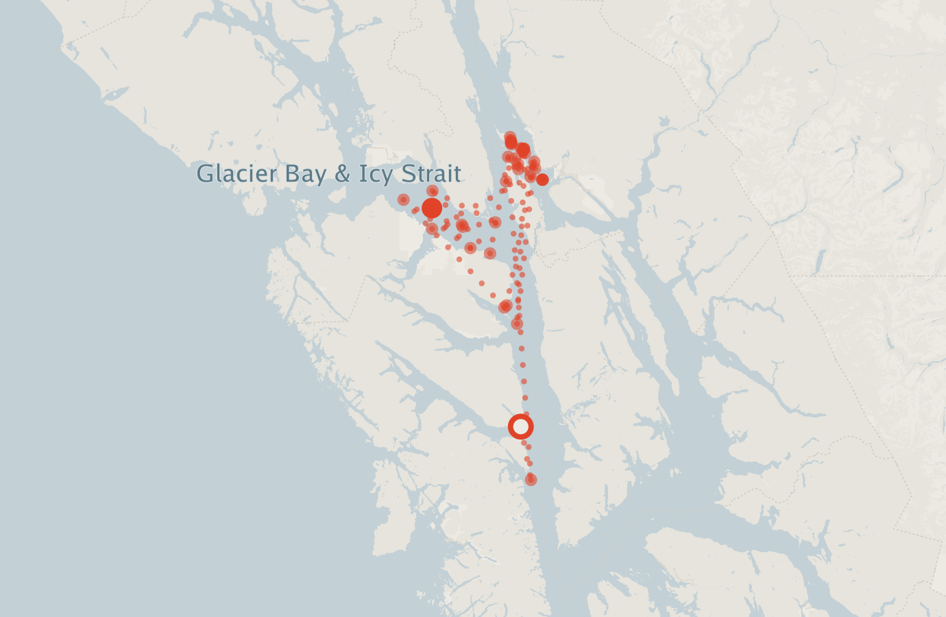 Activity map — real sighting points on an OpenStreetMap basemap