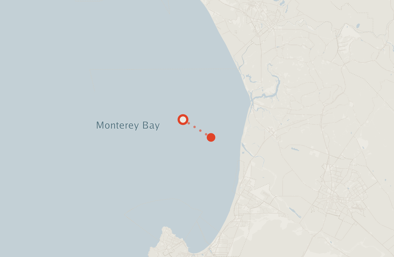 Activity map — real sighting points on an OpenStreetMap basemap