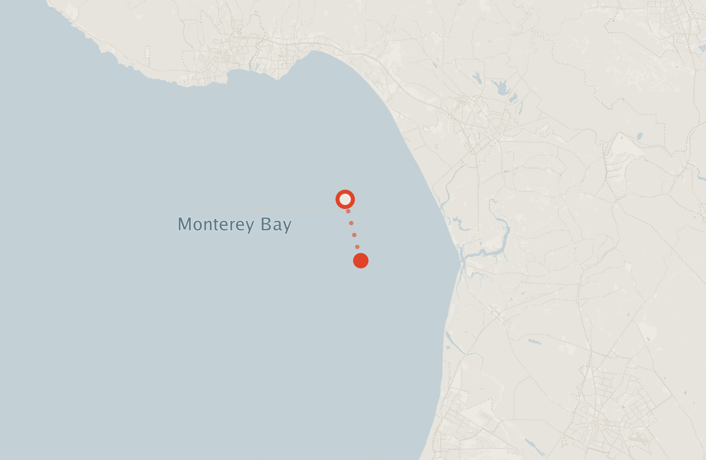 Activity map — real sighting points on an OpenStreetMap basemap