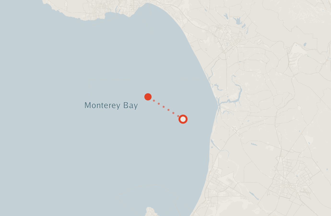 Activity map — real sighting points on an OpenStreetMap basemap