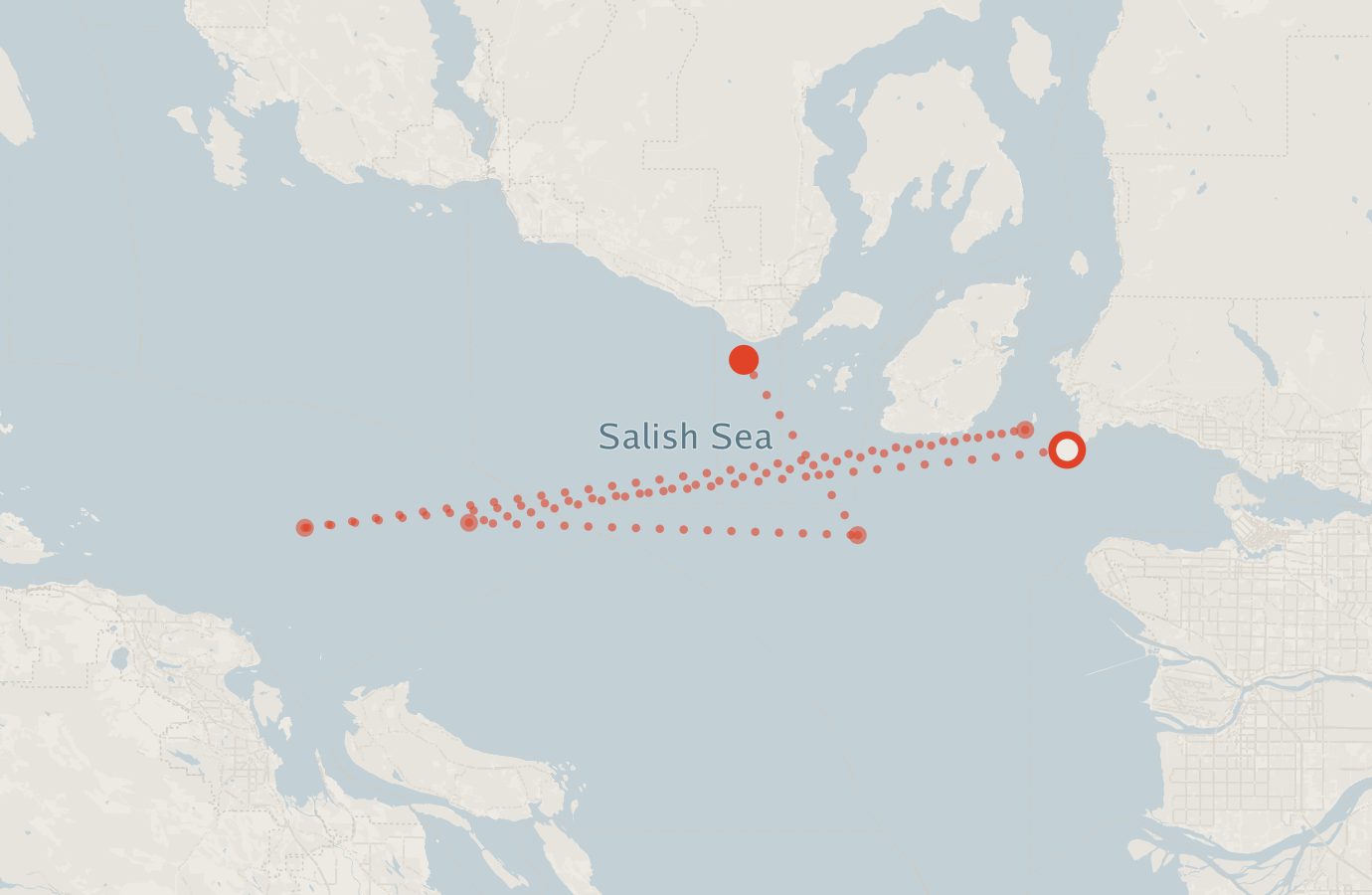 Activity map — real sighting points on an OpenStreetMap basemap