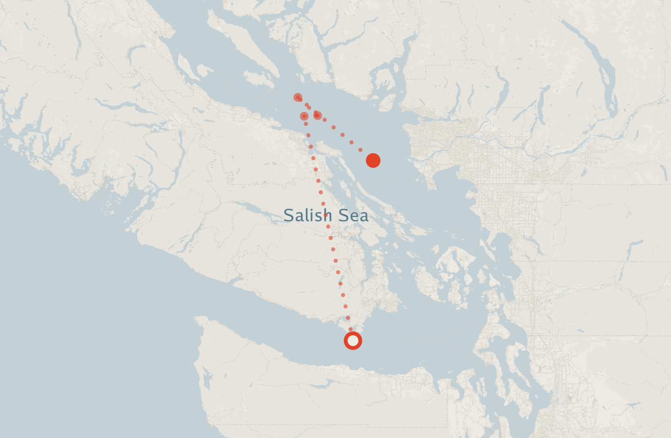 Activity map — real sighting points on an OpenStreetMap basemap