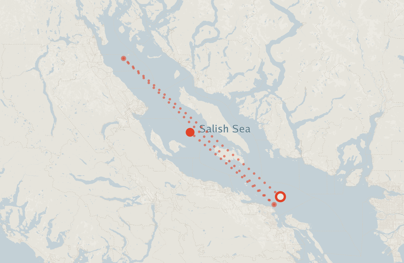 Activity map — real sighting points on an OpenStreetMap basemap