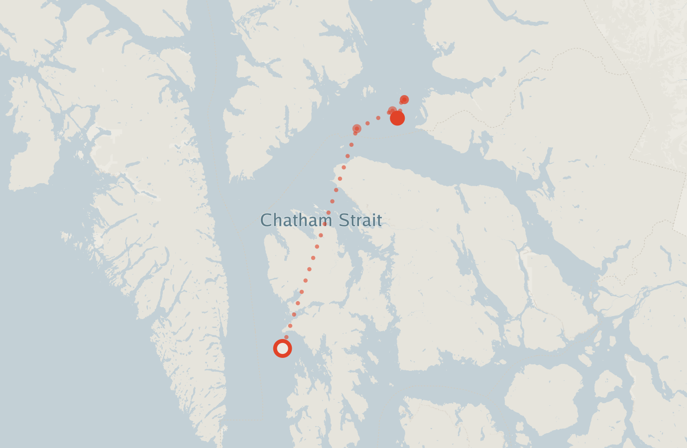 Activity map — real sighting points on an OpenStreetMap basemap