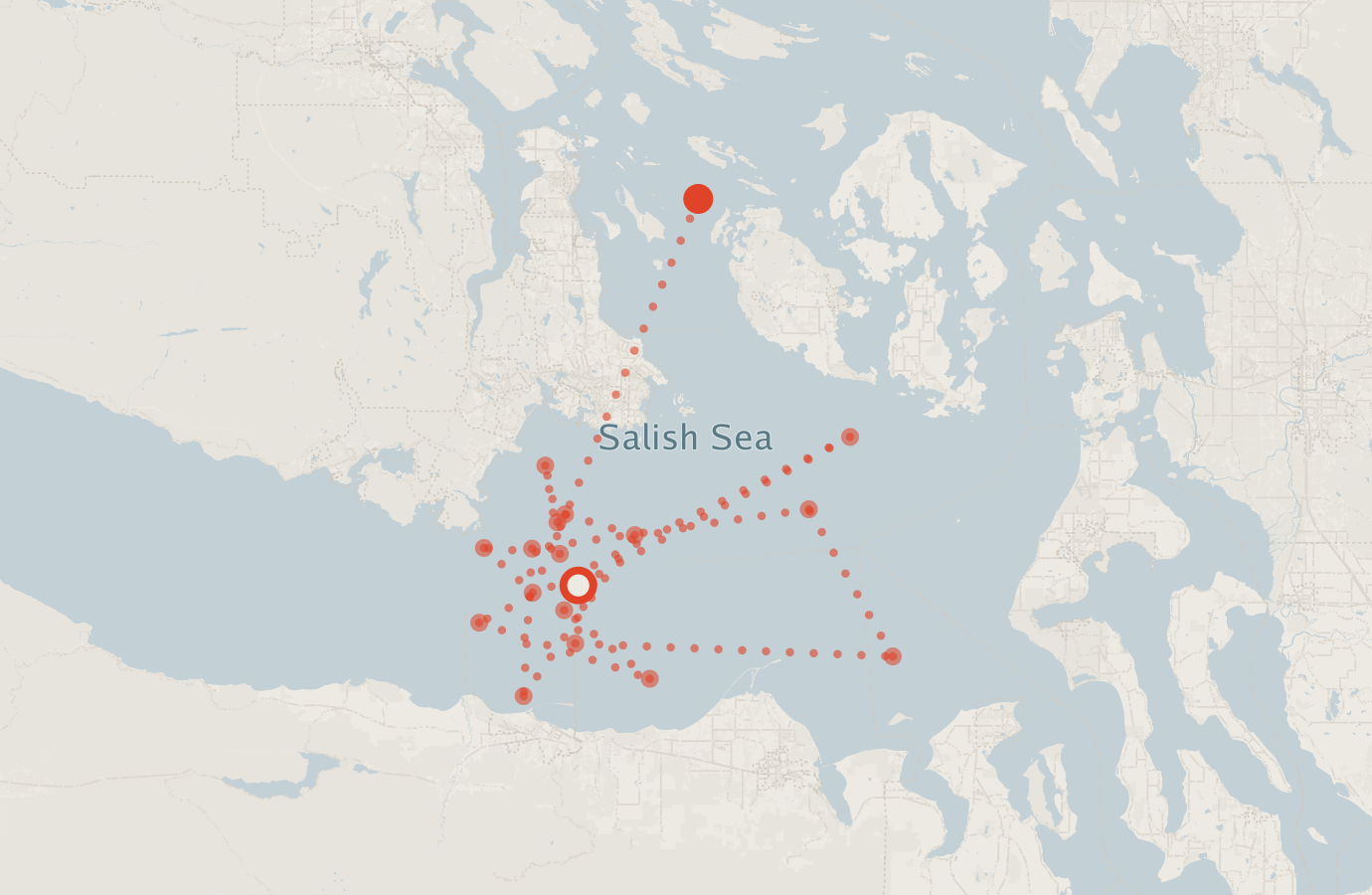 Activity map — real sighting points on an OpenStreetMap basemap