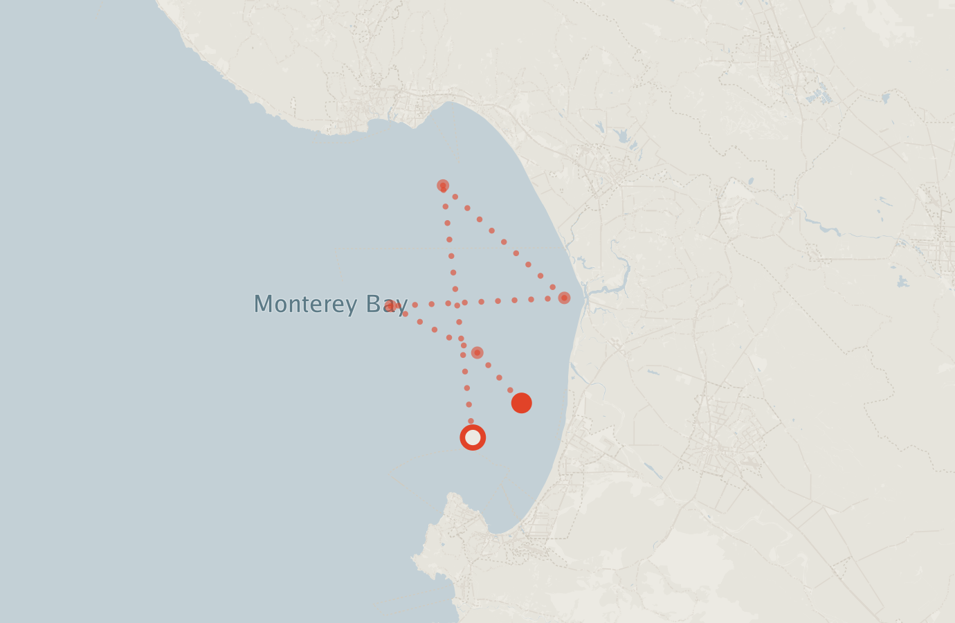 Activity map — real sighting points on an OpenStreetMap basemap