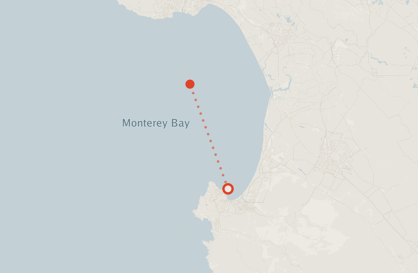 Activity map — real sighting points on an OpenStreetMap basemap