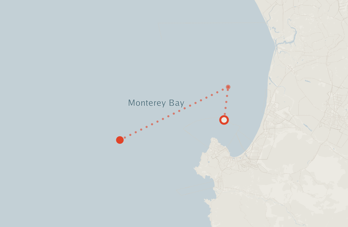 Activity map — real sighting points on an OpenStreetMap basemap