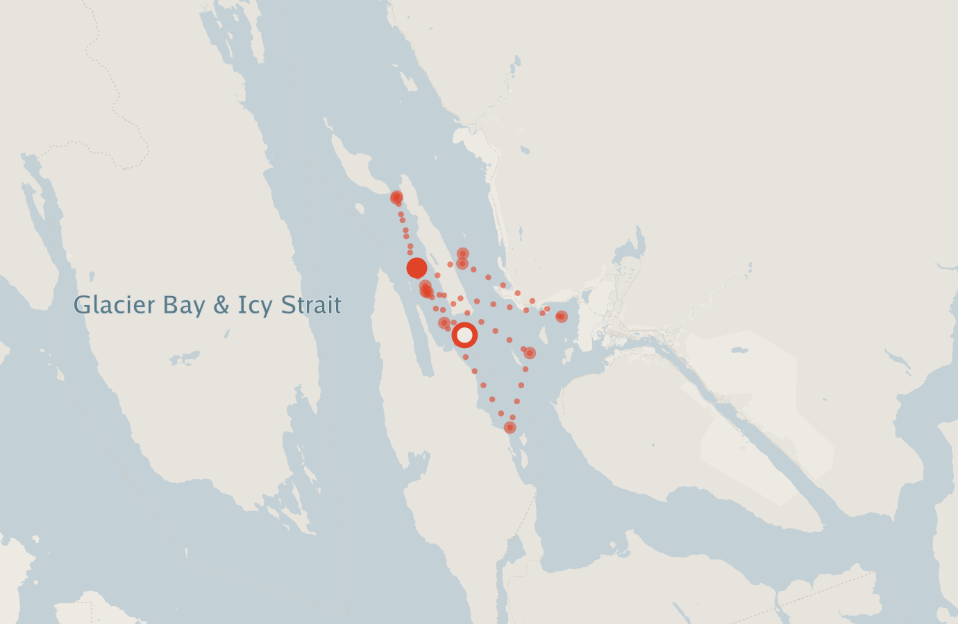 Activity map — real sighting points on an OpenStreetMap basemap