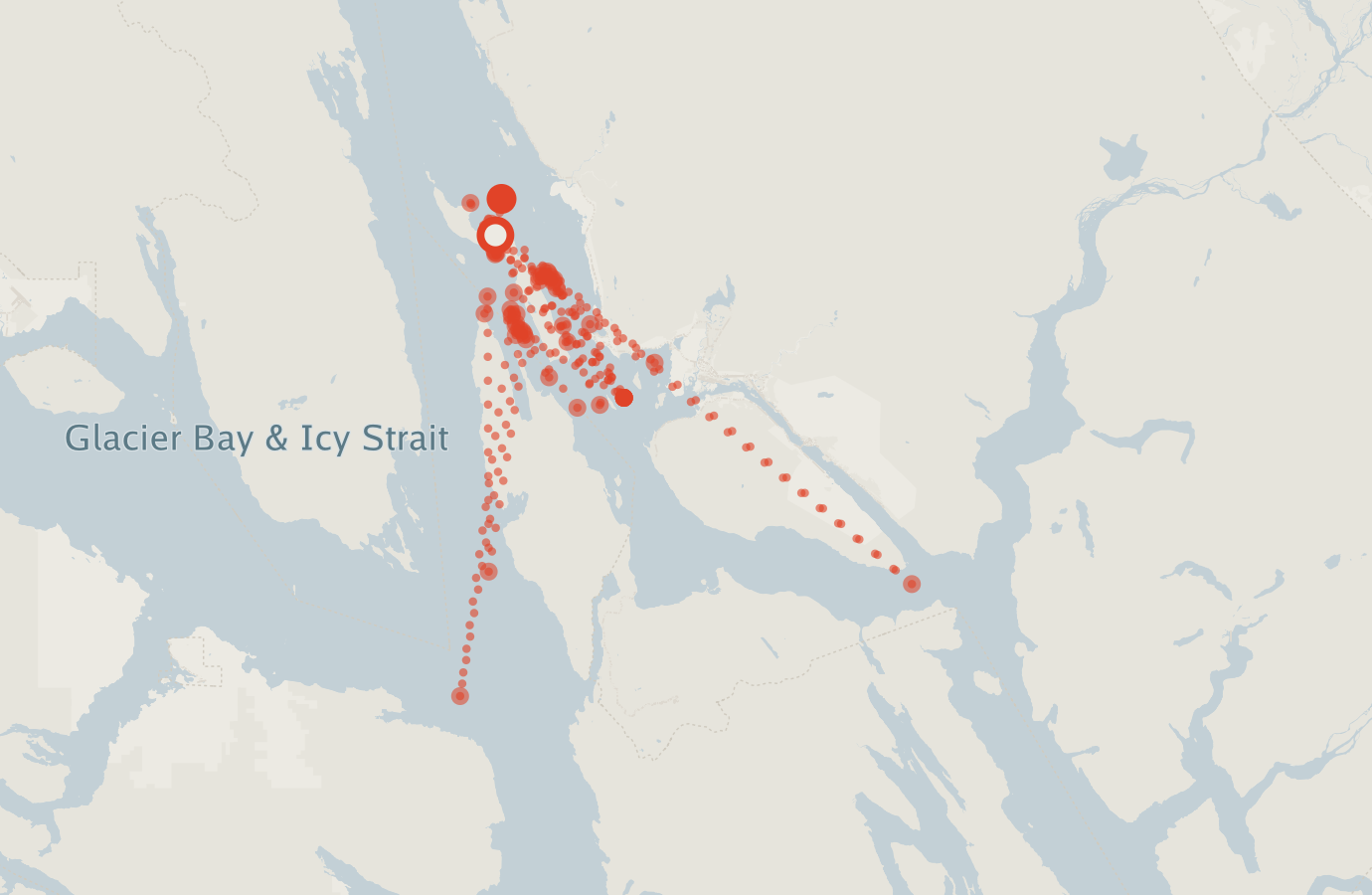 Activity map — real sighting points on an OpenStreetMap basemap