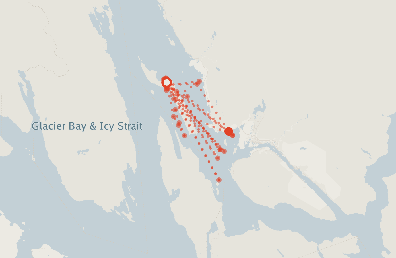 Activity map — real sighting points on an OpenStreetMap basemap