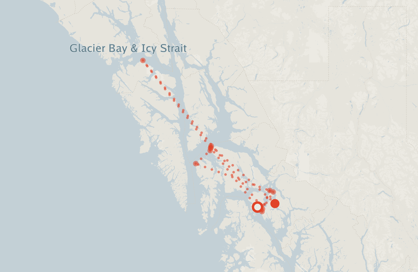 Activity map — real sighting points on an OpenStreetMap basemap
