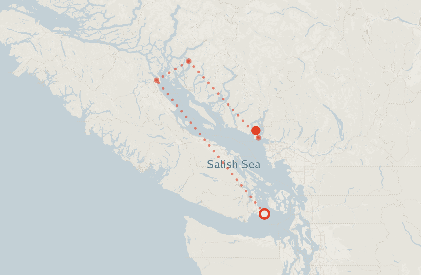 Activity map — real sighting points on an OpenStreetMap basemap