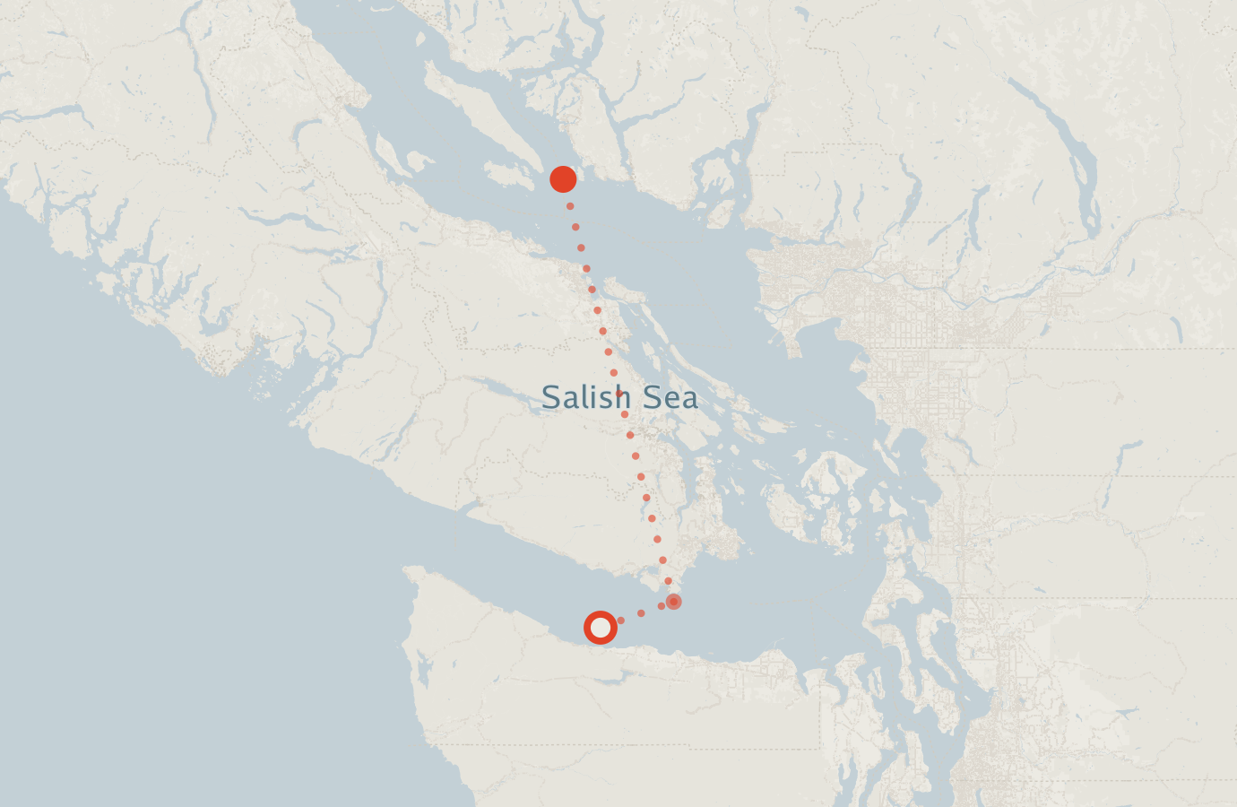 Activity map — real sighting points on an OpenStreetMap basemap