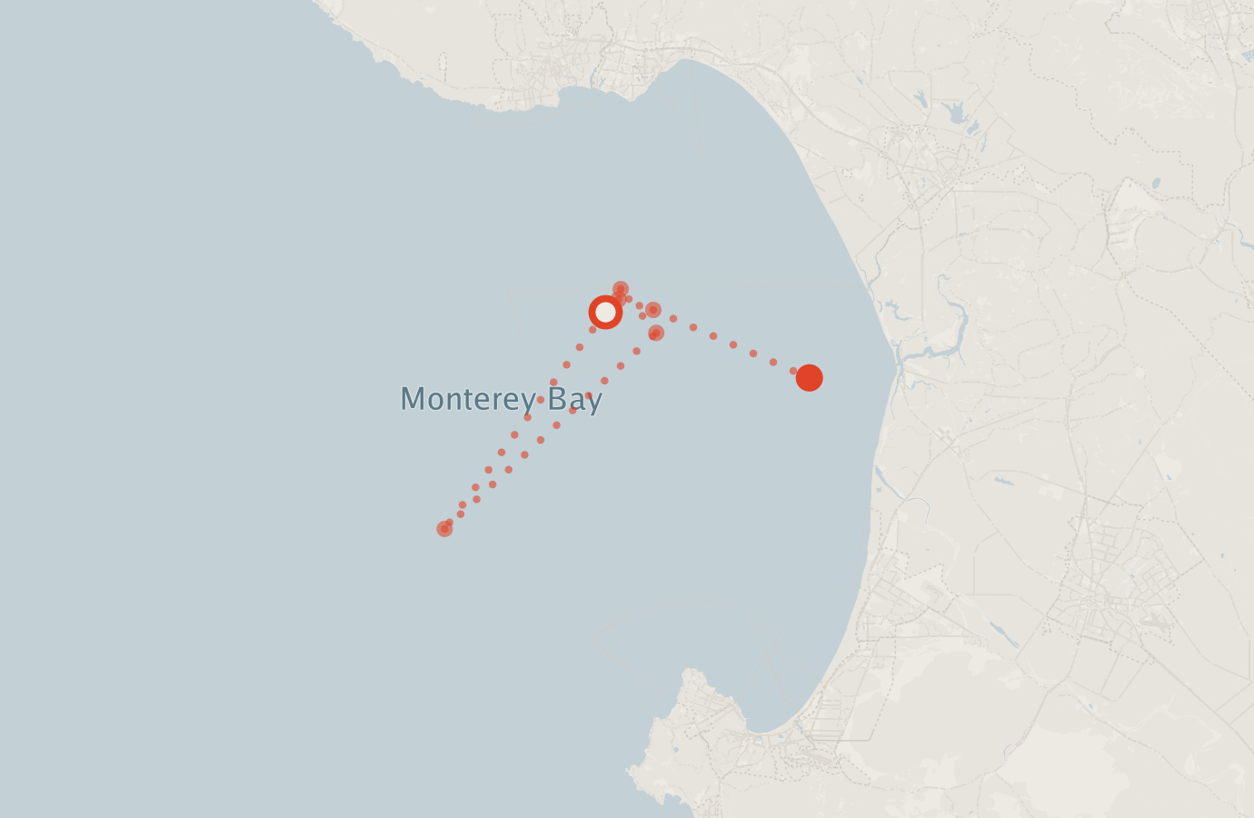 Activity map — real sighting points on an OpenStreetMap basemap