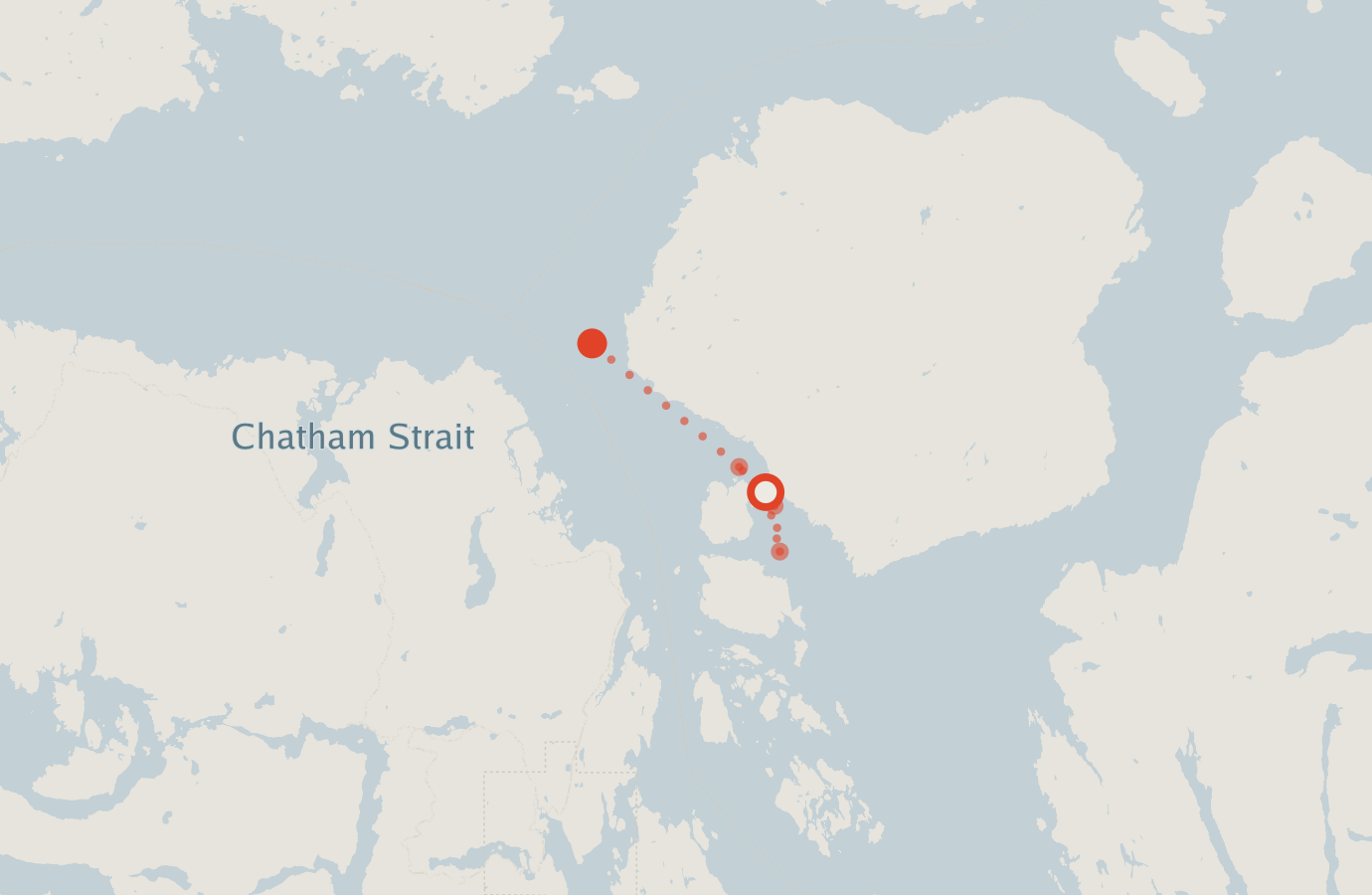 Activity map — real sighting points on an OpenStreetMap basemap