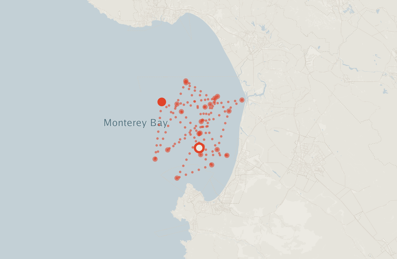 Activity map — real sighting points on an OpenStreetMap basemap