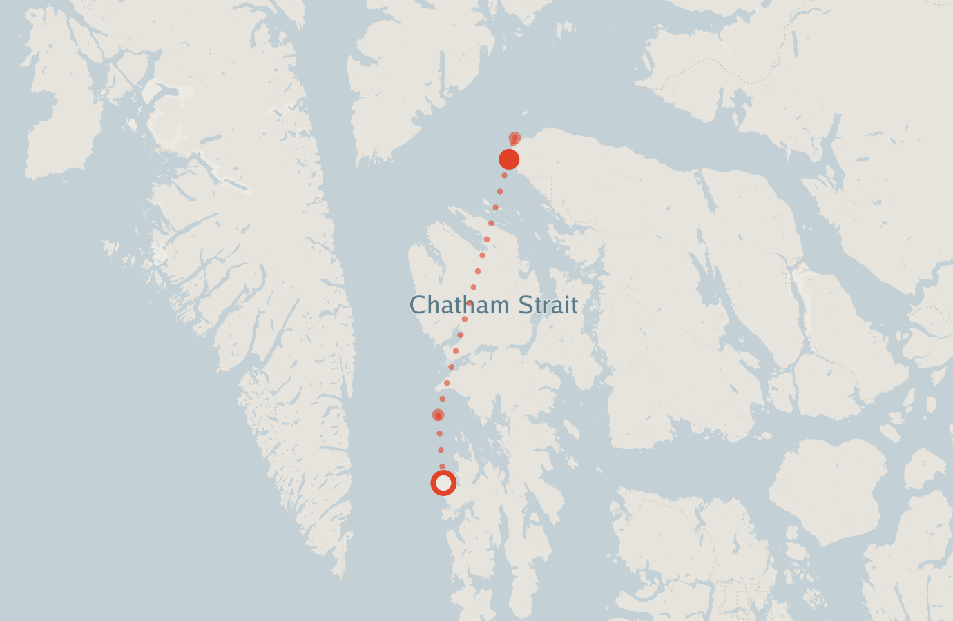 Activity map — real sighting points on an OpenStreetMap basemap