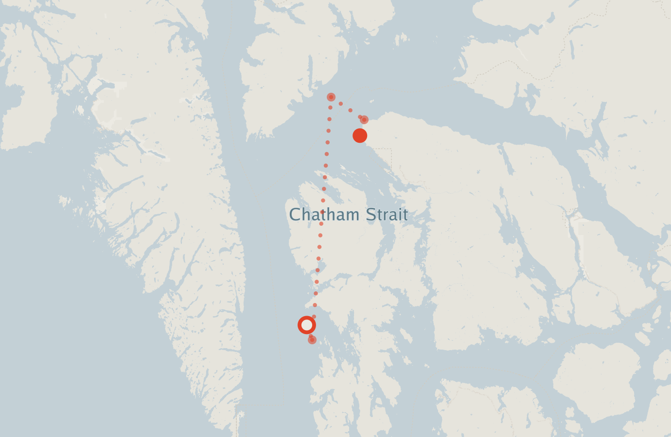 Activity map — real sighting points on an OpenStreetMap basemap