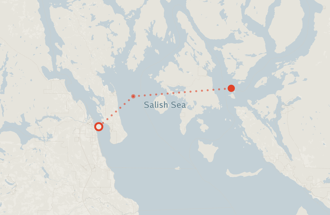 Activity map — real sighting points on an OpenStreetMap basemap