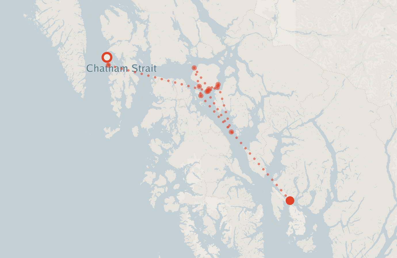 Activity map — real sighting points on an OpenStreetMap basemap