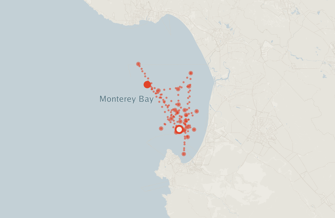 Activity map — real sighting points on an OpenStreetMap basemap