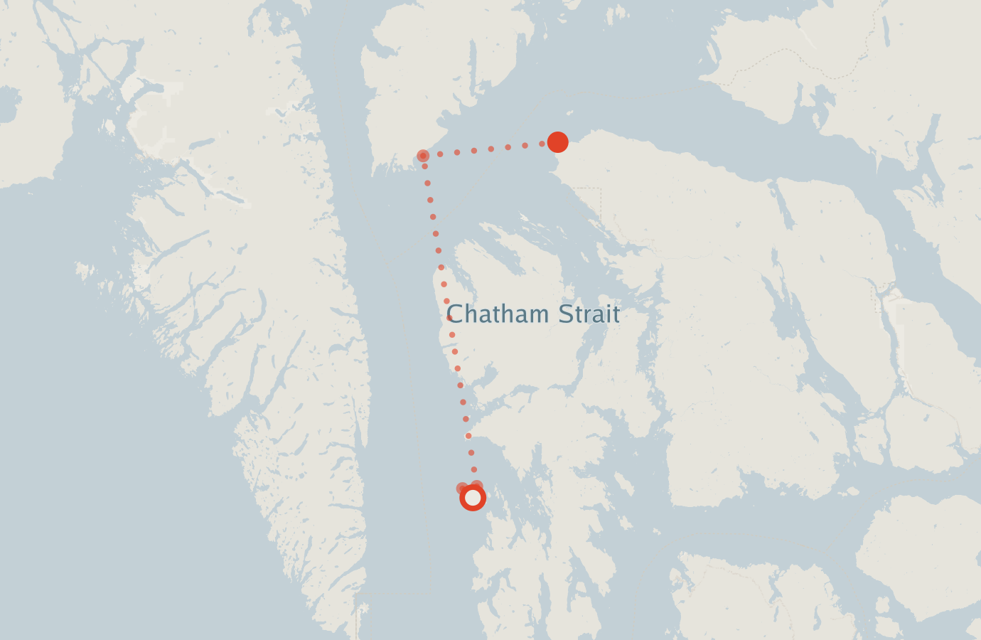 Activity map — real sighting points on an OpenStreetMap basemap