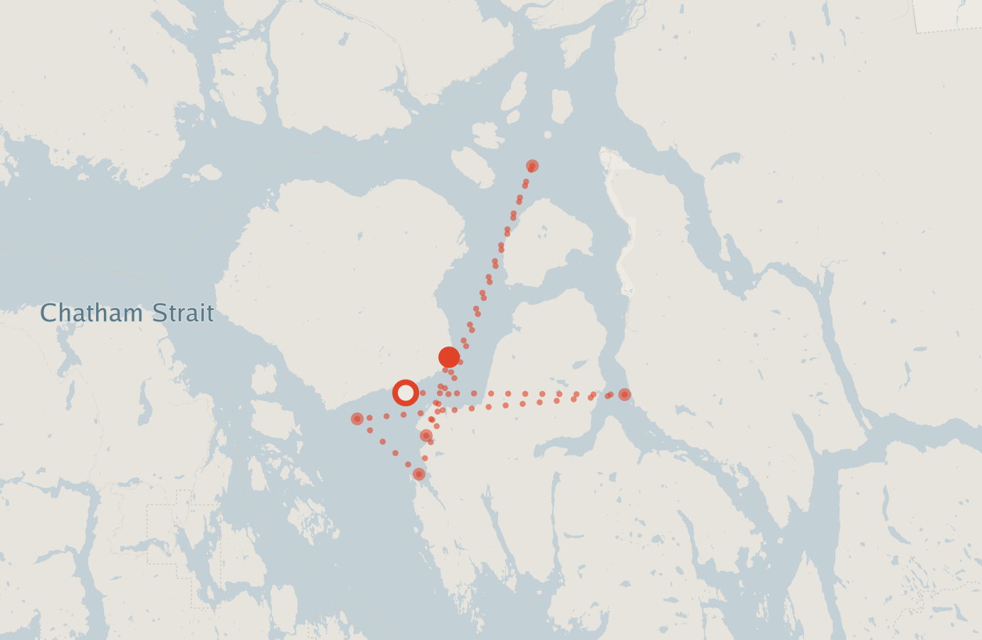 Activity map — real sighting points on an OpenStreetMap basemap