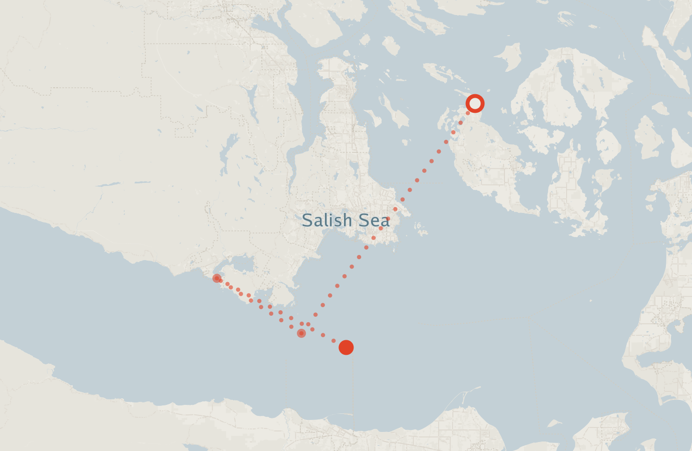 Activity map — real sighting points on an OpenStreetMap basemap