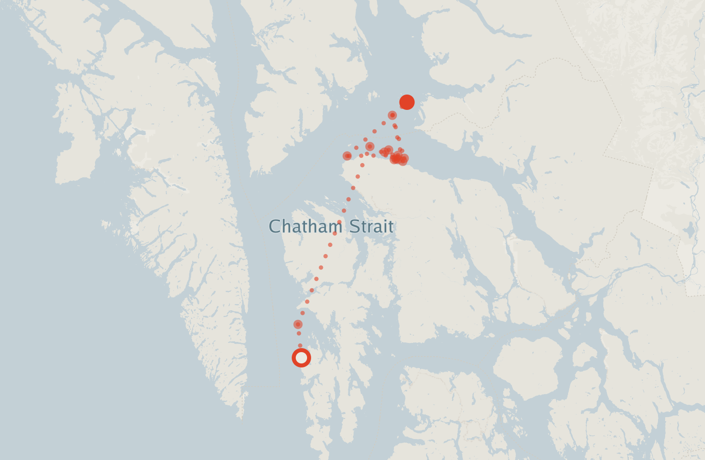 Activity map — real sighting points on an OpenStreetMap basemap