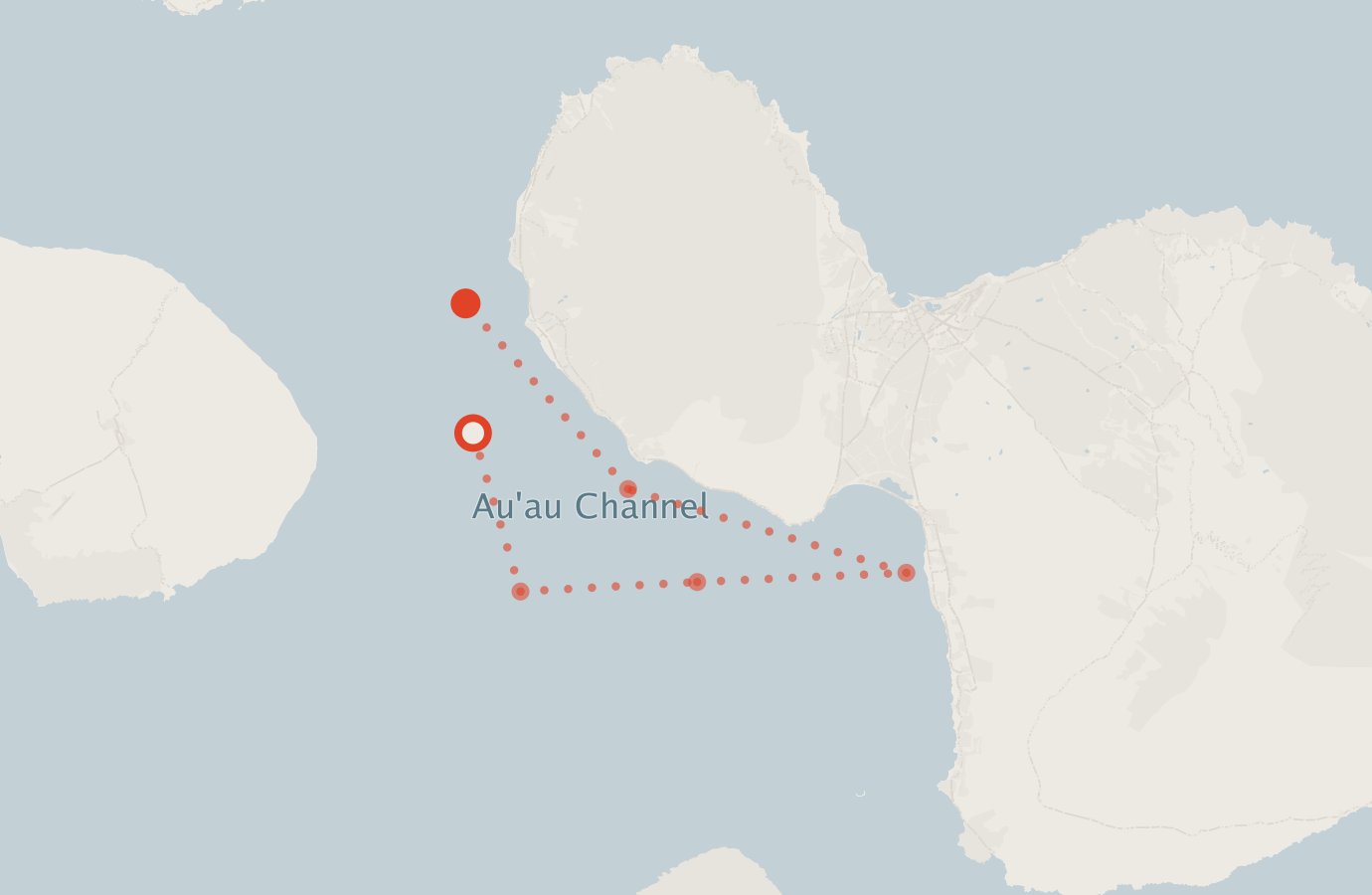Activity map — real sighting points on an OpenStreetMap basemap