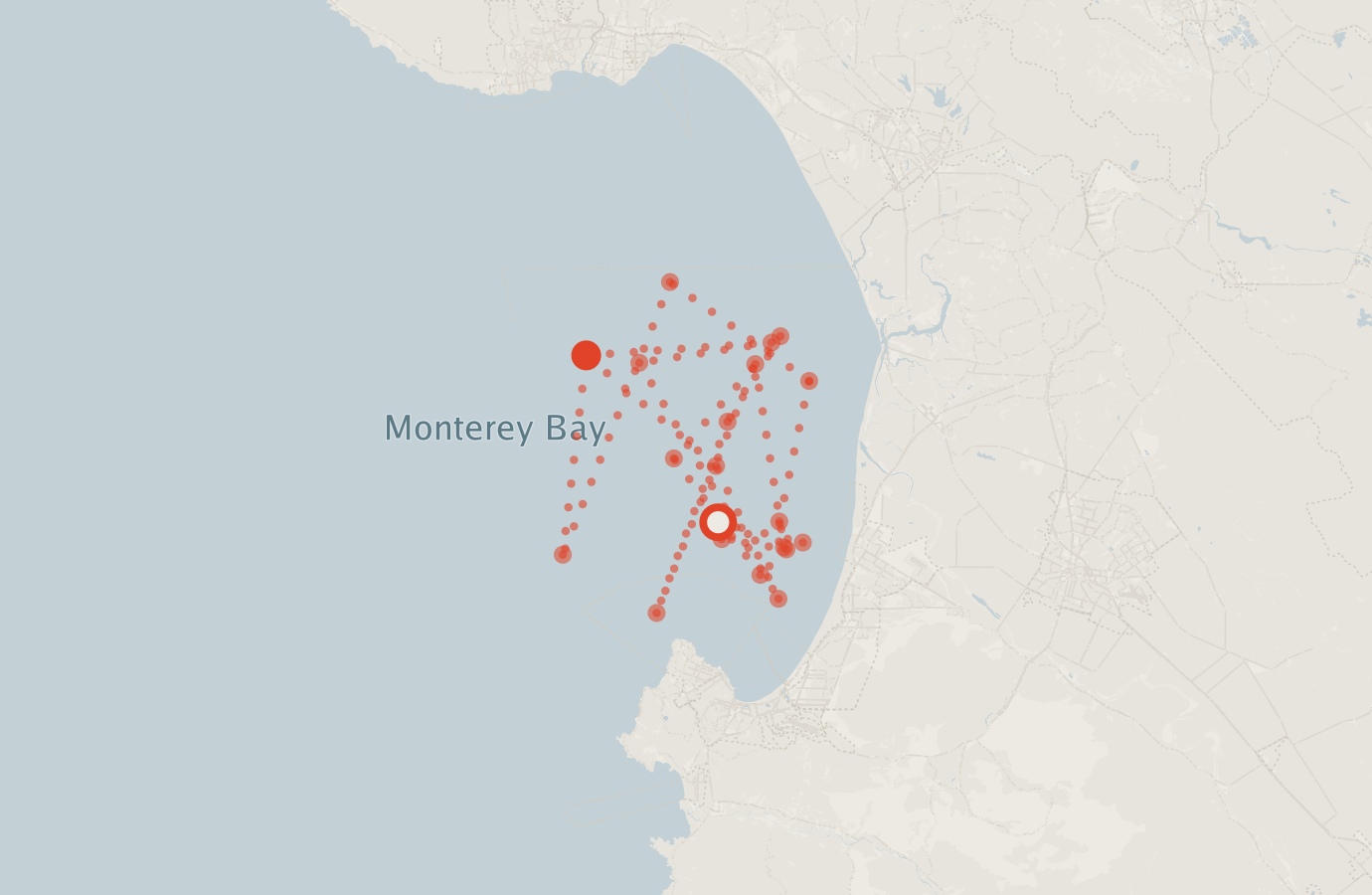Activity map — real sighting points on an OpenStreetMap basemap