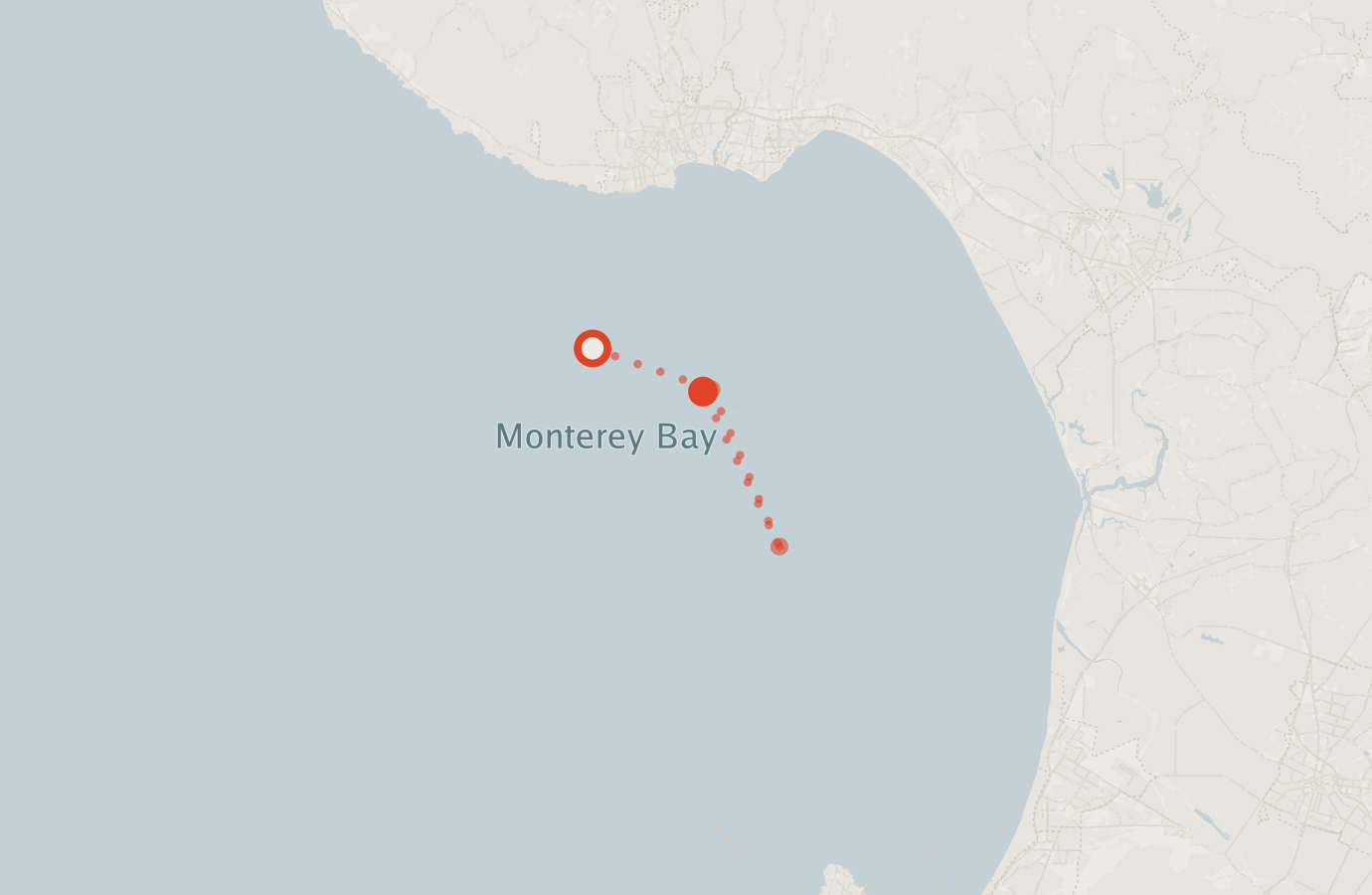 Activity map — real sighting points on an OpenStreetMap basemap
