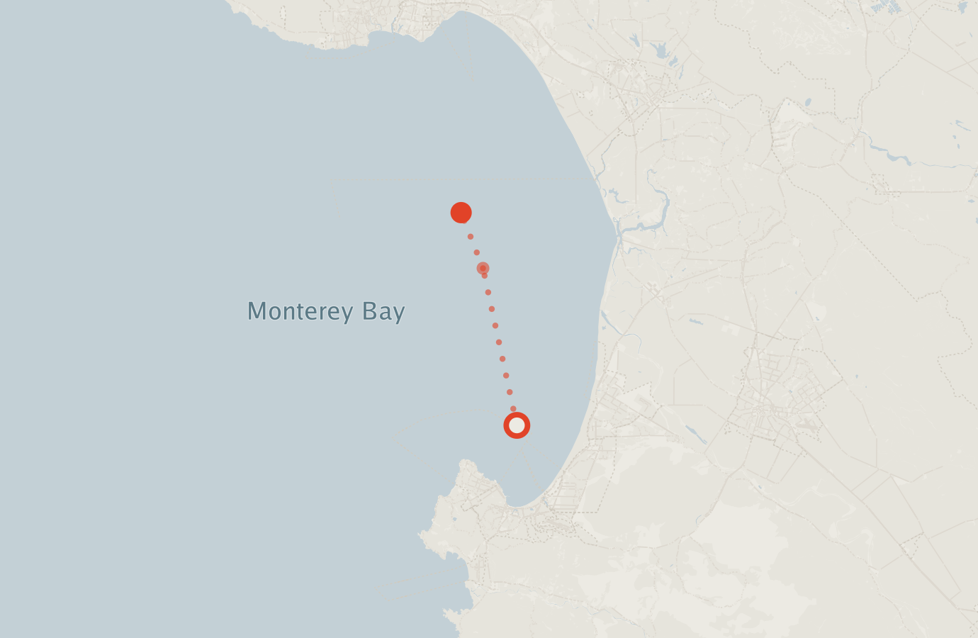 Activity map — real sighting points on an OpenStreetMap basemap