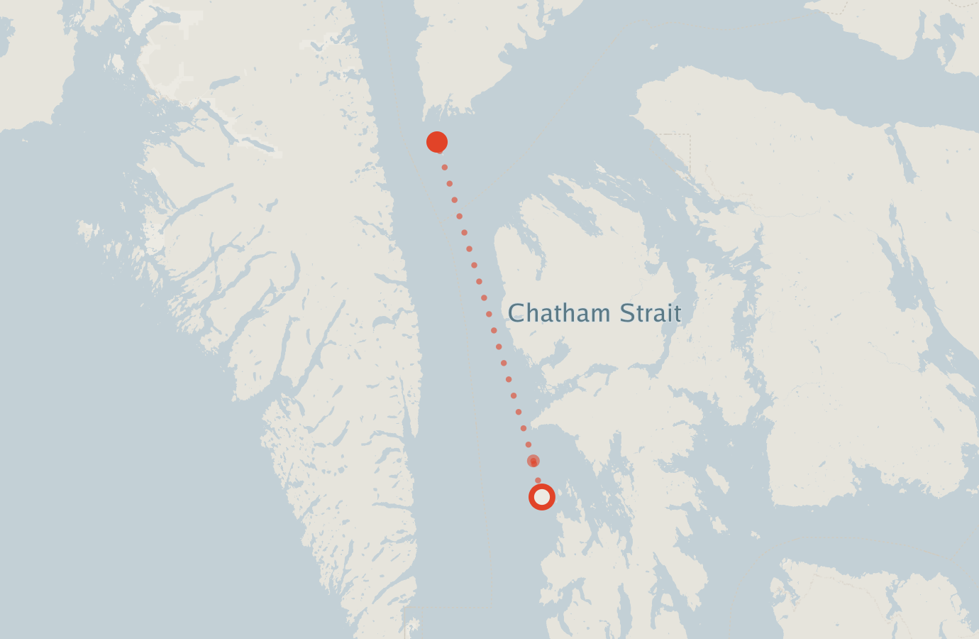 Activity map — real sighting points on an OpenStreetMap basemap