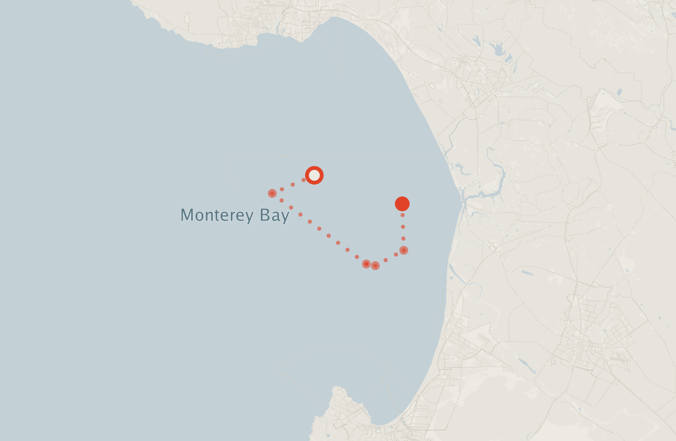Activity map — real sighting points on an OpenStreetMap basemap