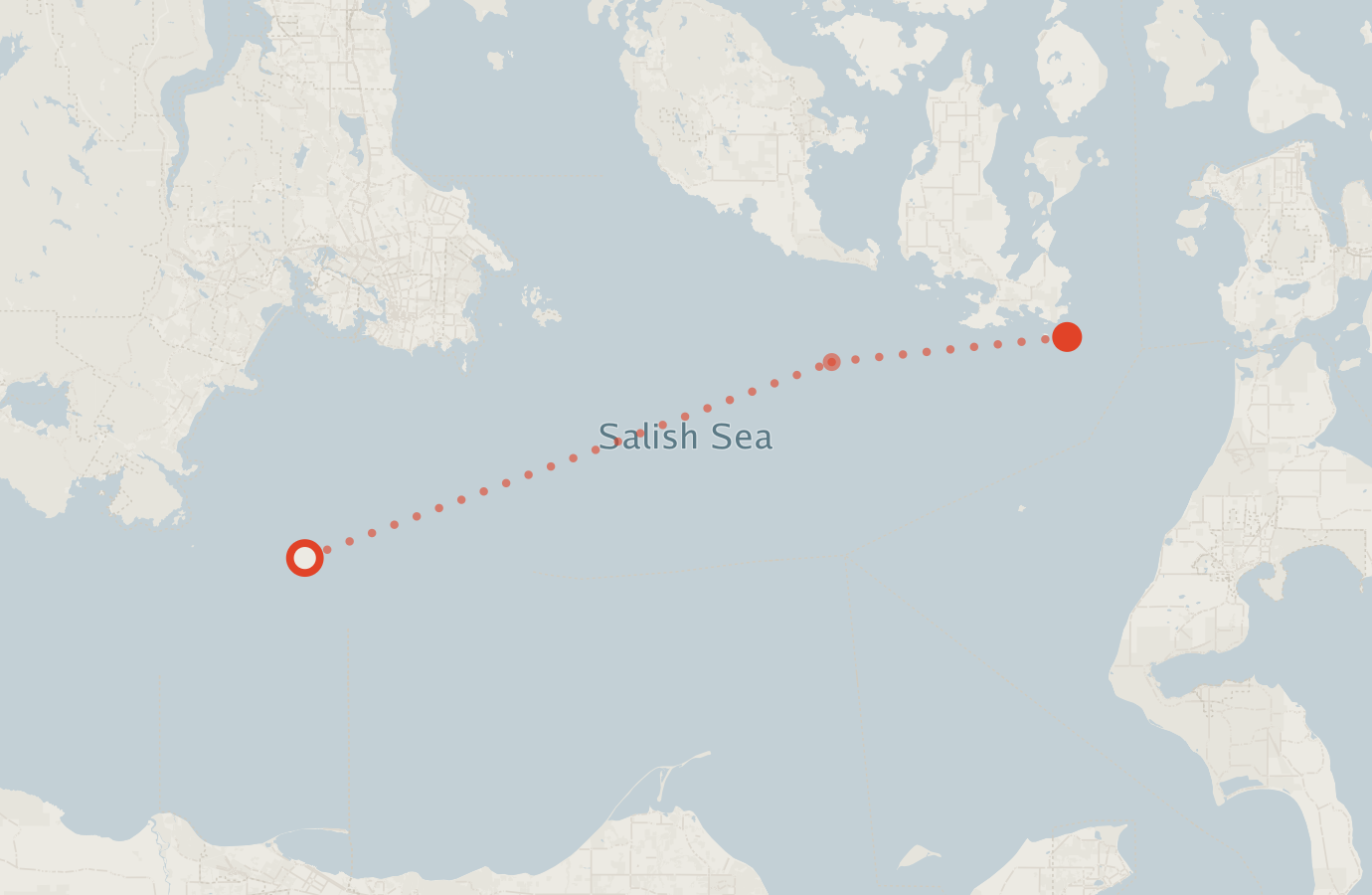 Activity map — real sighting points on an OpenStreetMap basemap