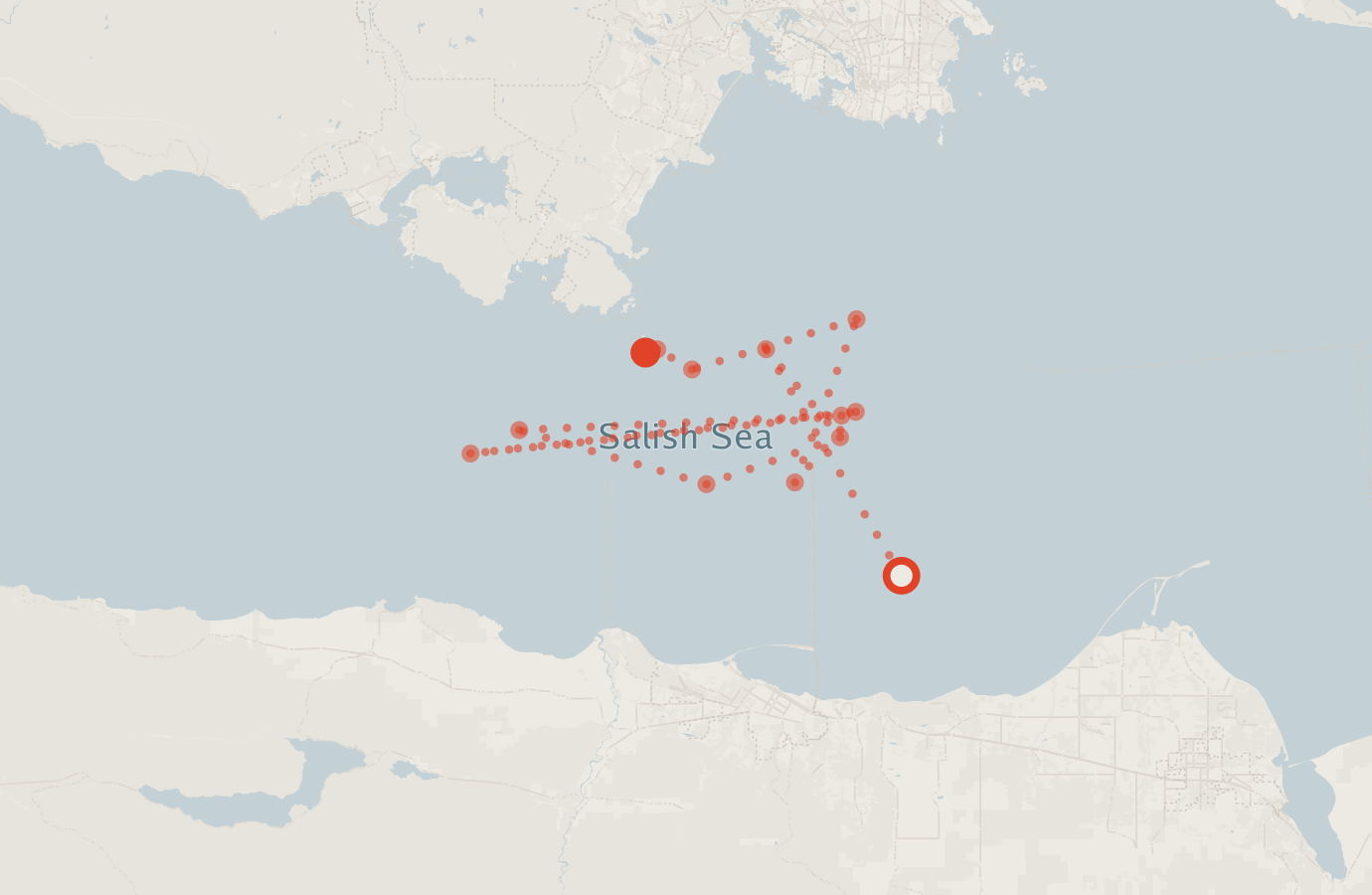Activity map — real sighting points on an OpenStreetMap basemap